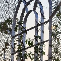  at The Moth Cafe - Downtown in Edmonton