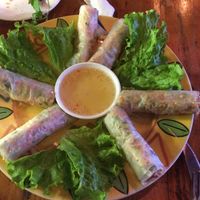 Fresh spring rolls at Le Gecko in Sapa