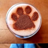 chai latte with oat milk at Kibble Bakery in Skipton