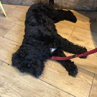   at Kibble Bakery in Skipton