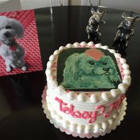 Custom made vegan birthday cake with our beloved dog Tobey Jug! at Sweetie Pies Bakery in Napa