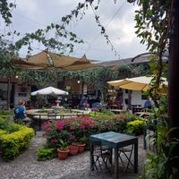 The garden/courtyard #Veganuary at La Bruja Vegan Foods in Antigua