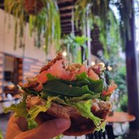  at La Bruja Vegan Foods in Antigua