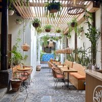   at La Bruja Vegan Foods in Antigua