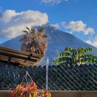  at La Bruja Vegan Foods in Antigua