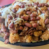 Loaded tots at Santana's Vegan Grill in Colorado Springs