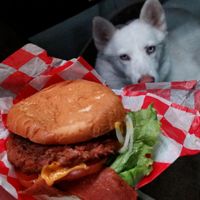 The "meat" looks like a rare cooked burger and is delicious from Santana's Vegan Grill in Colorado at Santana's Vegan Grill in Colorado Springs