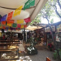  at Mercado Organico La Cosecha in Oaxaca