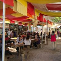 Overview  at Mercado Organico La Cosecha in Oaxaca