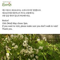   at Ecotopia in Busan