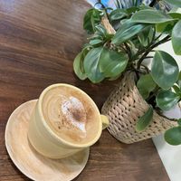 Cappacibo    at Ecotopia in Busan