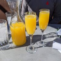 Mimosa! at Liberty Market in Gilbert