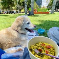 Delicious picnic-worthy breakfast at Makeout Colombia in Bogota