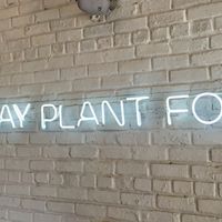 All the dishes are vegan and Plant-based  at Makeout Colombia in Bogota