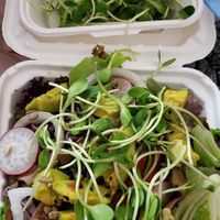 Build your own salad at The Salad Concept - Nimman Branch in Chiang Mai
