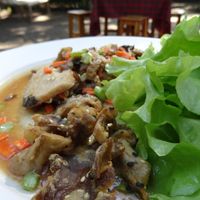 vegan fish at Waengbun Lampang in Lampang