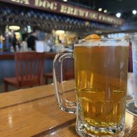 10 oz seasonal beer   at Sea Dog Brewing Co in Bangor