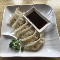Vegan gyoza dumplings at Green Tea in Bangor