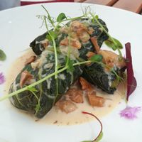 Cabbage rolls with rice and chanterelle sauce at Pod Niebieniem in Poznan