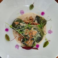 Cabbage rolls with rice and chanterelle sauce at Pod Niebieniem in Poznan