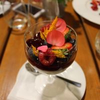 vegan bavarese at Pod Niebieniem in Poznan