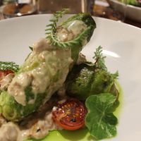 vegan Gołąbki at Pod Niebieniem in Poznan