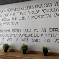 Inside at Attaboy in Budapest