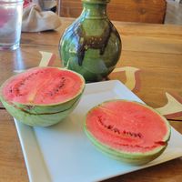  at Baker Creek Heirloom Seed in Mansfield