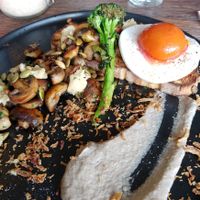 Mushroom melody at Sycamore Meadows in Reservoir