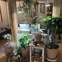 Inside of restaurant   at Oh Se Gae Hyang - 오세계향 in Seoul