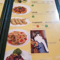 Menu and vegan cats at Oh Se Gae Hyang - 오세계향 in Seoul
