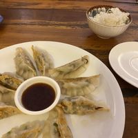 Gyoza + rice   at Osaka Sushi Tonkatsu in Vientiane