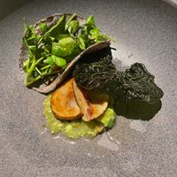 Pickled mushrooms, green tomatillo salsa, watercress taco at Cafe Des Artistes in Puerto Vallarta