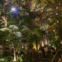  at Cafe Des Artistes in Puerto Vallarta