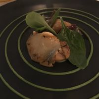 Mushroom and roasted beats with a green pea purée  at Cafe Des Artistes in Puerto Vallarta