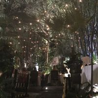 Outdoor seating is an experience! at Cafe Des Artistes in Puerto Vallarta