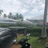 Their farm!  at Seed to Feed in Koh Phangan