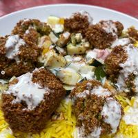 Falafel and Roasted Veg on Pilaf at Foxtail Kitchen & Bar in Santa Barbara