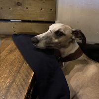  #Veganuary at Seeds for the Soul in Edinburgh