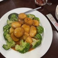 Japanese style tofu with broccoli  at Pato Beikin in Valencia