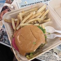 Plate w fries   at DFW - Twisted Root Burger - TA in Dallas