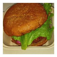 The Vegabond at DFW - Twisted Root Burger - TA in Dallas