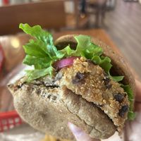   at DFW - Twisted Root Burger - TA in Dallas