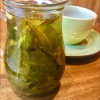 Mate de coca at Justo Restaurant in Medellin