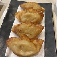 Gyoza  at Hinode in Sao Paulo