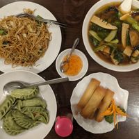 Vegan gyoza, spring rolls, fried noodles and mushroom noodles at Koukien in Yokohama