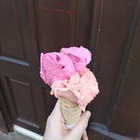 Three scoop vegan ice-cream at Gelateria Crema e Cioccolato in Scarborough