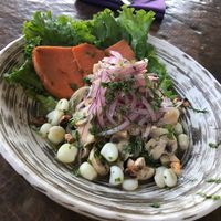 Mushroom Ceviche at Chulo's Cafe and Cantina in Templeton