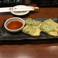 Yuba Gyoza - Freeze dried-tofu wrapped with soy milk skin at Chao Chao Gyoza Shijo-Kawaramachi in Kyoto