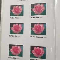 Menu Nov 2024 at Hoa Nghiem Vegie Hut in Springvale